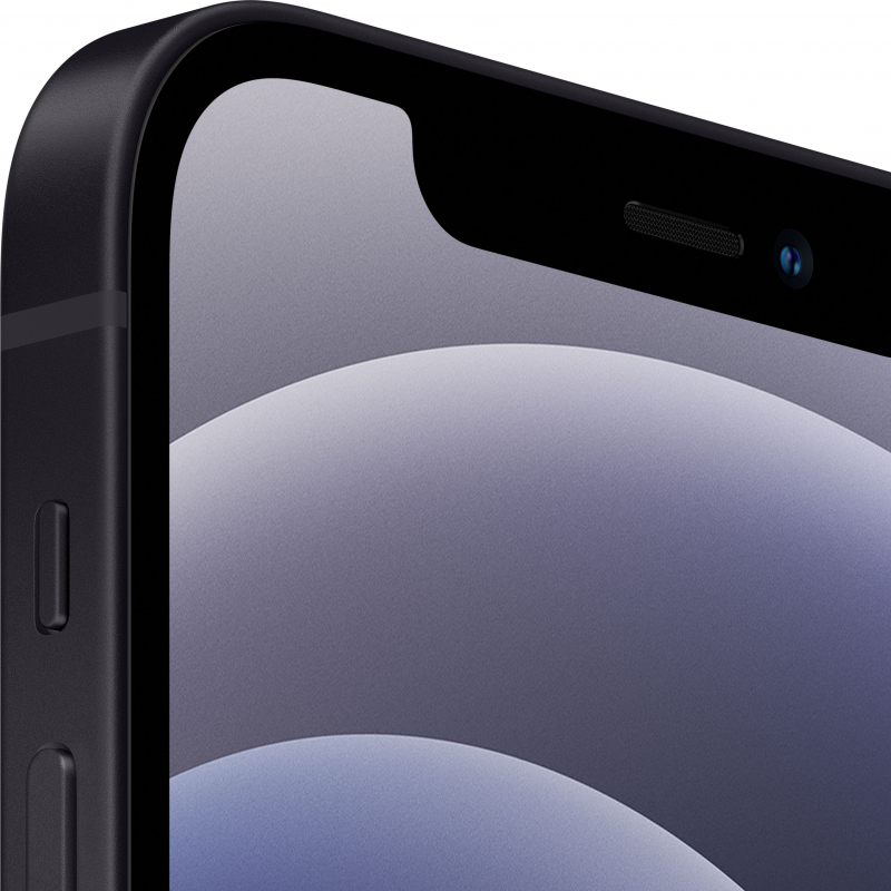 Смартфон Apple iPhone 12 256GB (Черный)