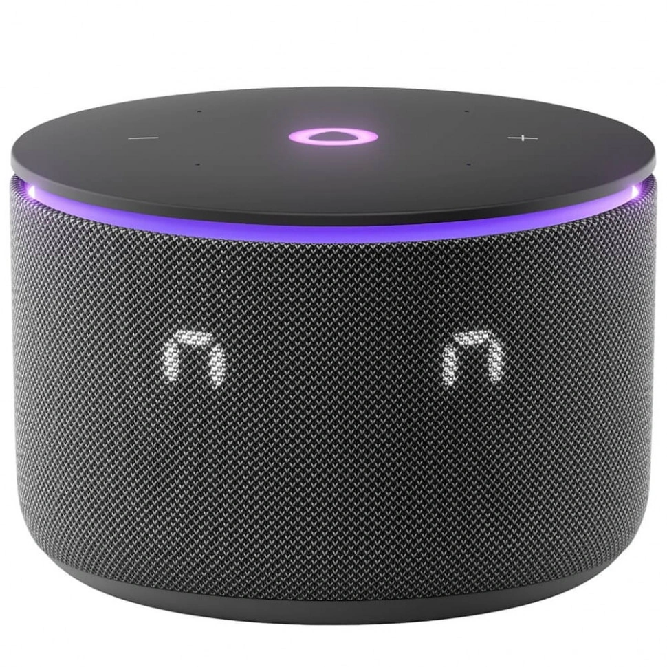 Умная колонка Яндекс Станция Мини 3 Про с Алисой, Zigbee, 18 Вт, черный