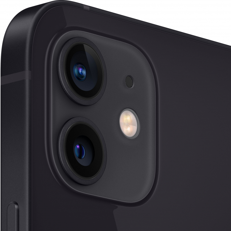 Смартфон Apple iPhone 12 256GB (Черный)