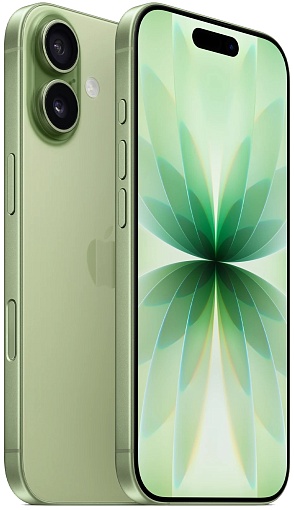 Смартфон Apple iPhone 17 256 ГБ («Шалфейно-зелёный» | Sage)