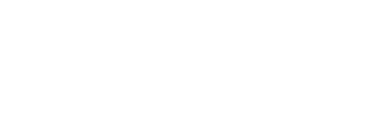 2016