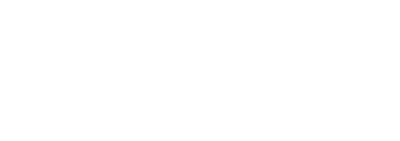 2019