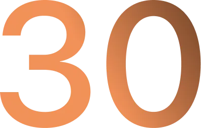 30 брендов