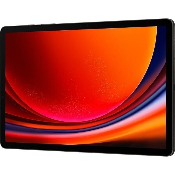 Планшет Samsung Galaxy Tab S9 12/256 ГБ Wi-Fi Серый (Graphite)