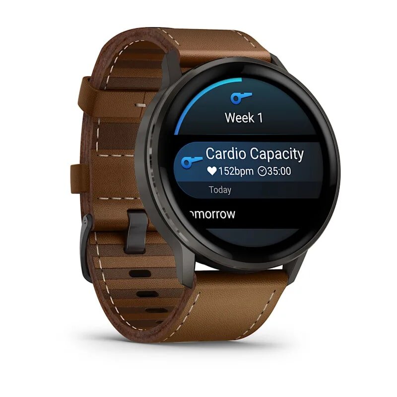 Умные часы Garmin Venu 4 45 мм Slate with Black Silicone Band and...